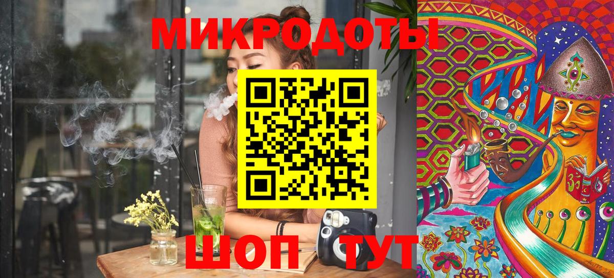 Псилоцибиновые грибы Psilocybe Боровичи
